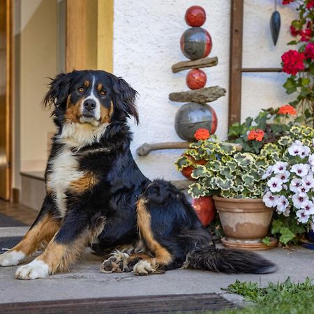 Apartmán Bio-Bergbauernhof Weger Dellach  Exteriér fotografie