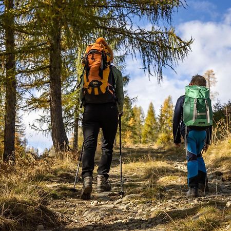 Apartmán Bio-Bergbauernhof Weger Dellach  Exteriér fotografie
