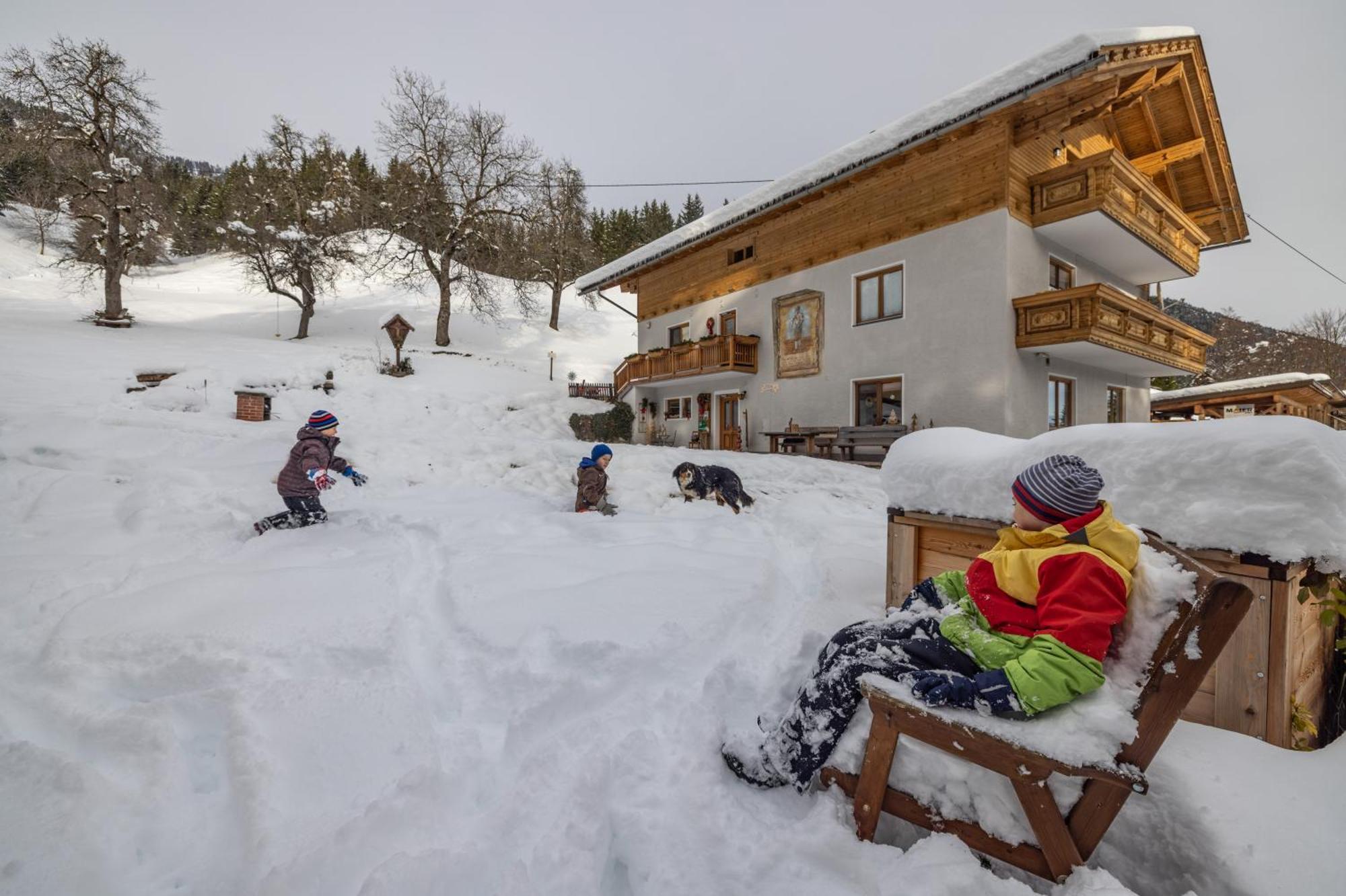 Apartmán Bio-Bergbauernhof Weger Dellach  Exteriér fotografie