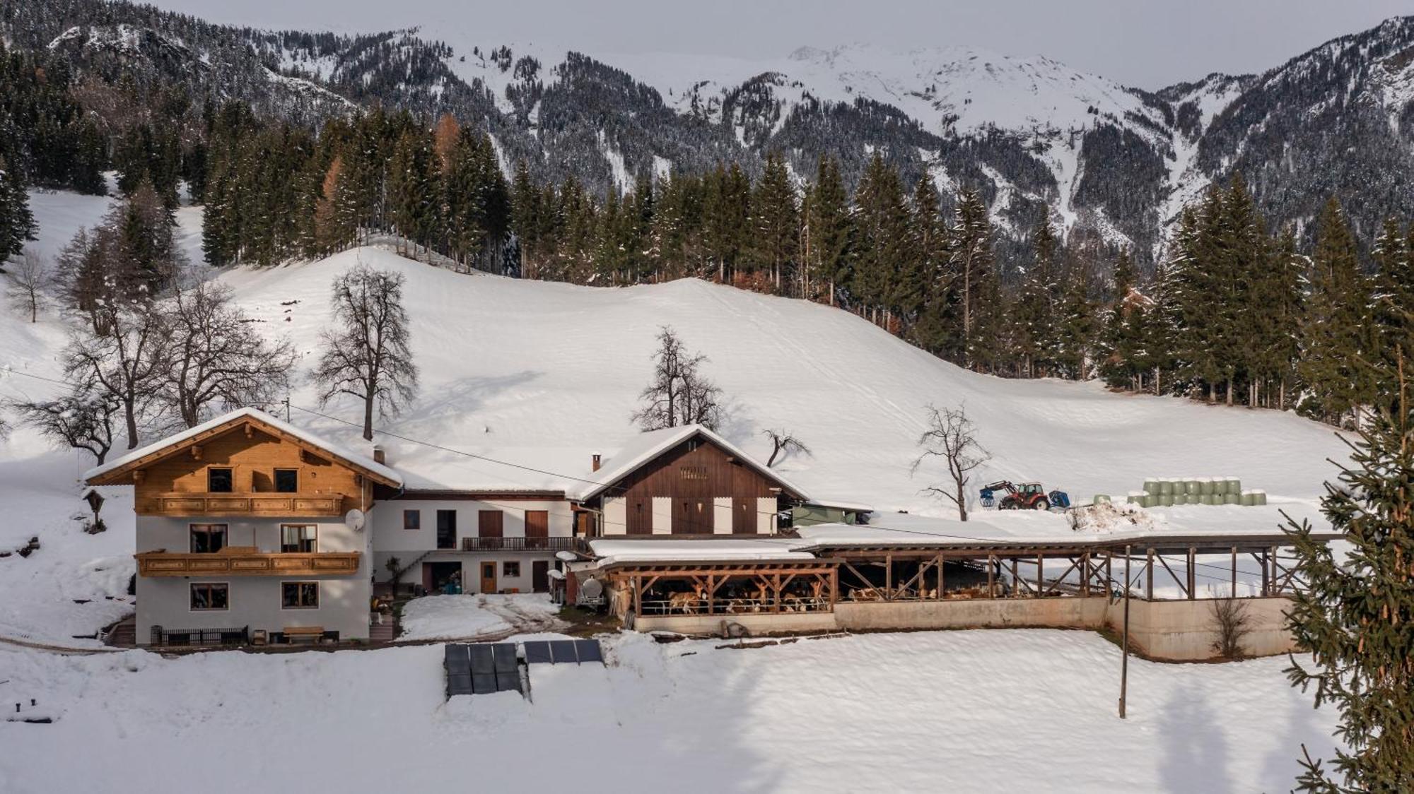Apartmán Bio-Bergbauernhof Weger Dellach  Exteriér fotografie