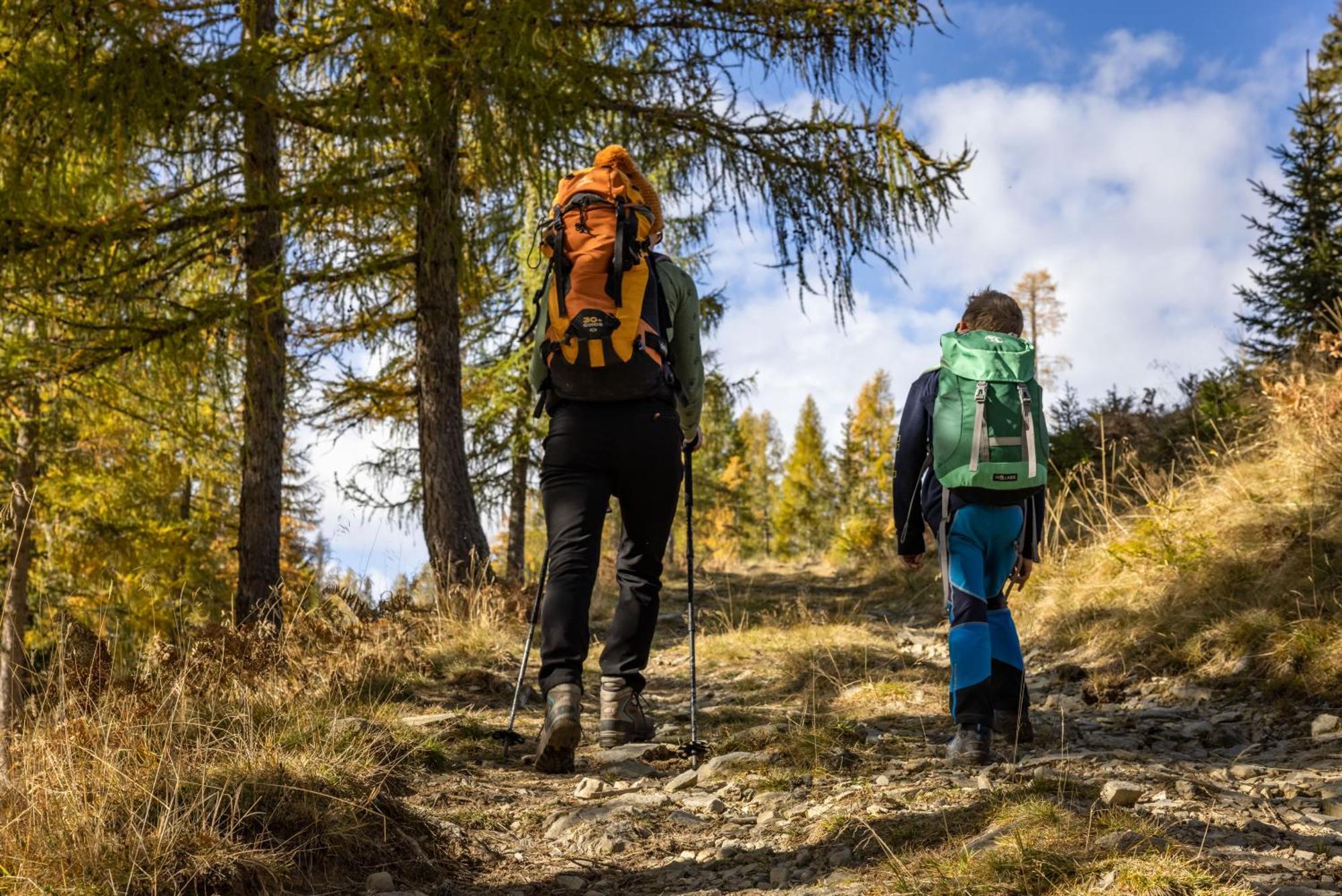 Apartmán Bio-Bergbauernhof Weger Dellach  Exteriér fotografie
