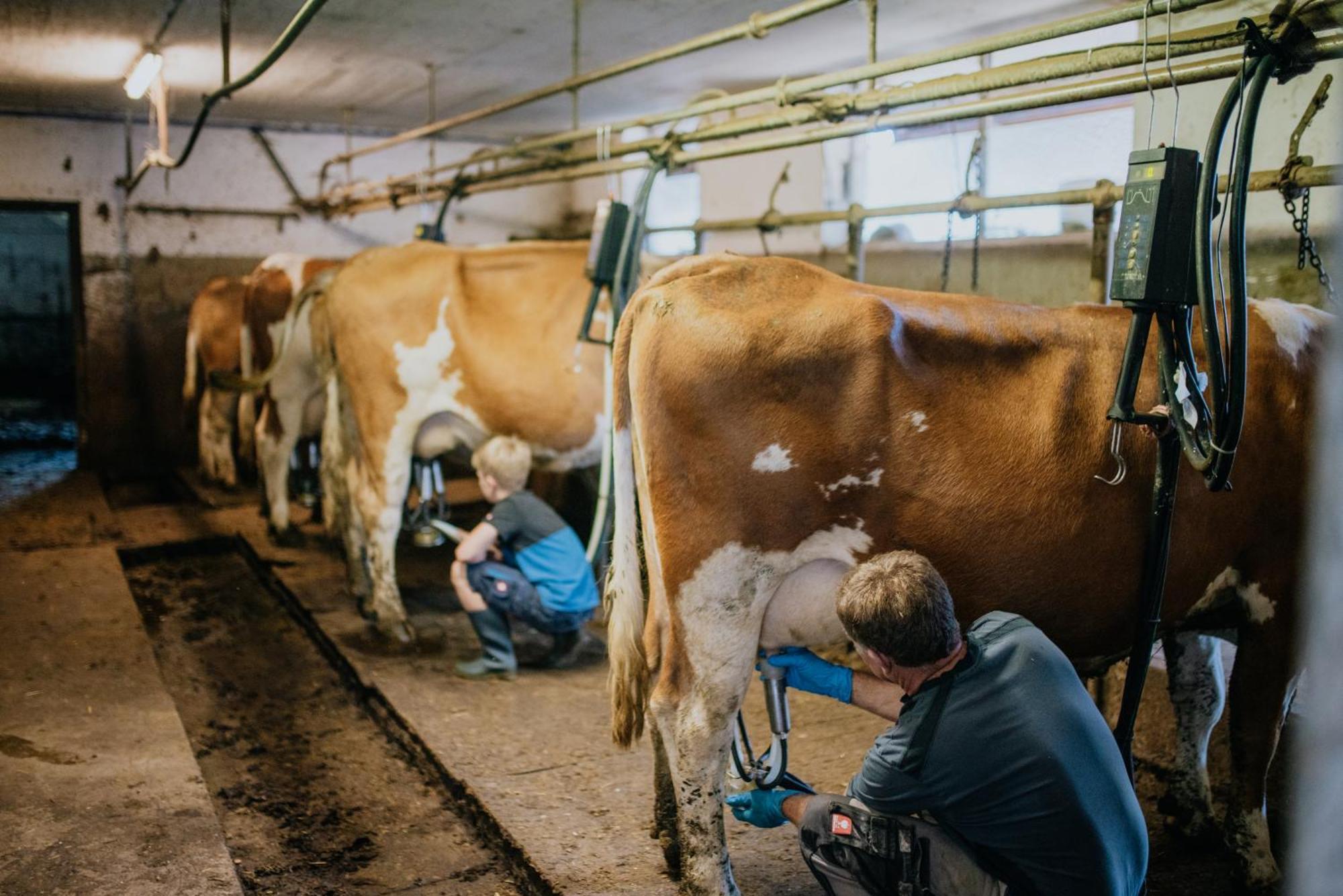 Apartmán Bio-Bergbauernhof Weger Dellach  Exteriér fotografie