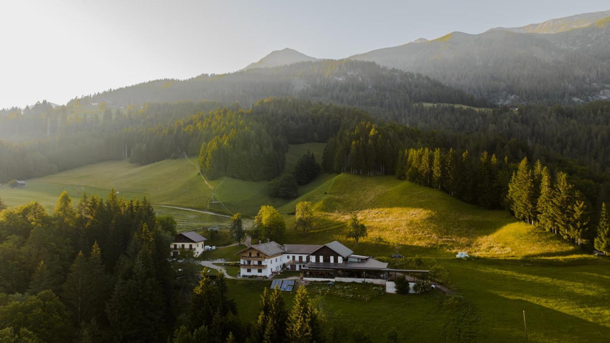 Apartmán Bio-Bergbauernhof Weger Dellach  Exteriér fotografie