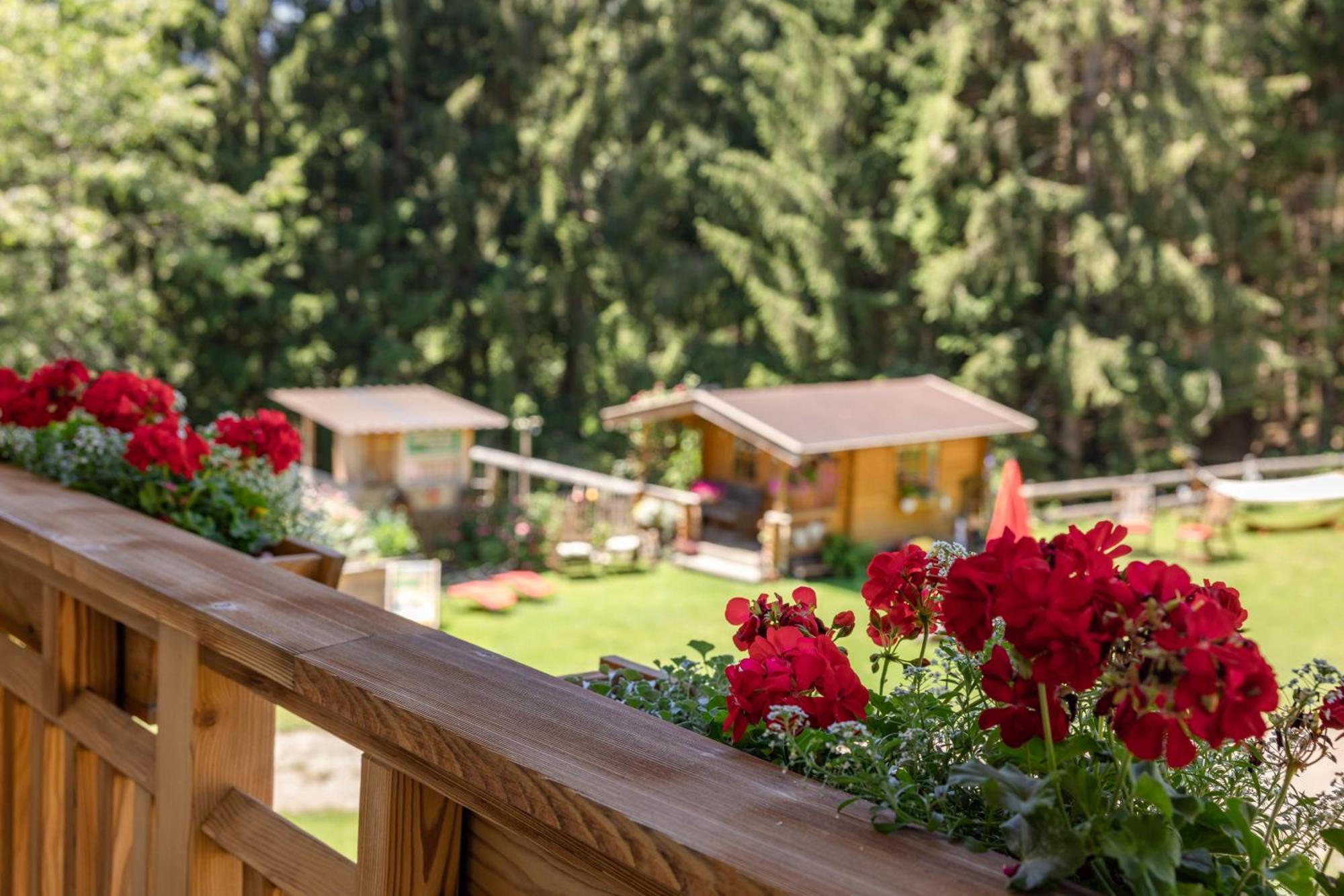 Apartmán Bio-Bergbauernhof Weger Dellach  Exteriér fotografie