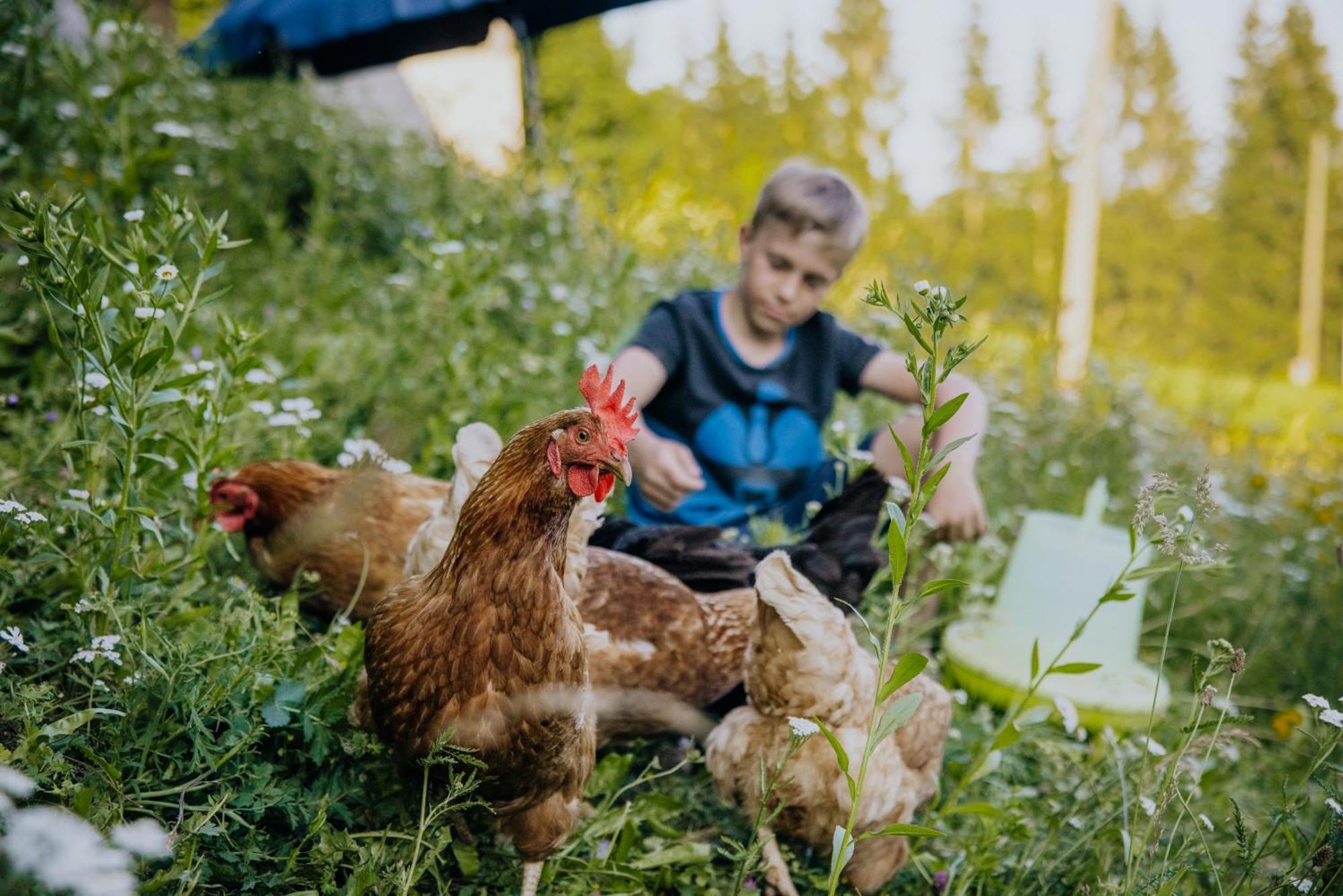 Apartmán Bio-Bergbauernhof Weger Dellach  Exteriér fotografie