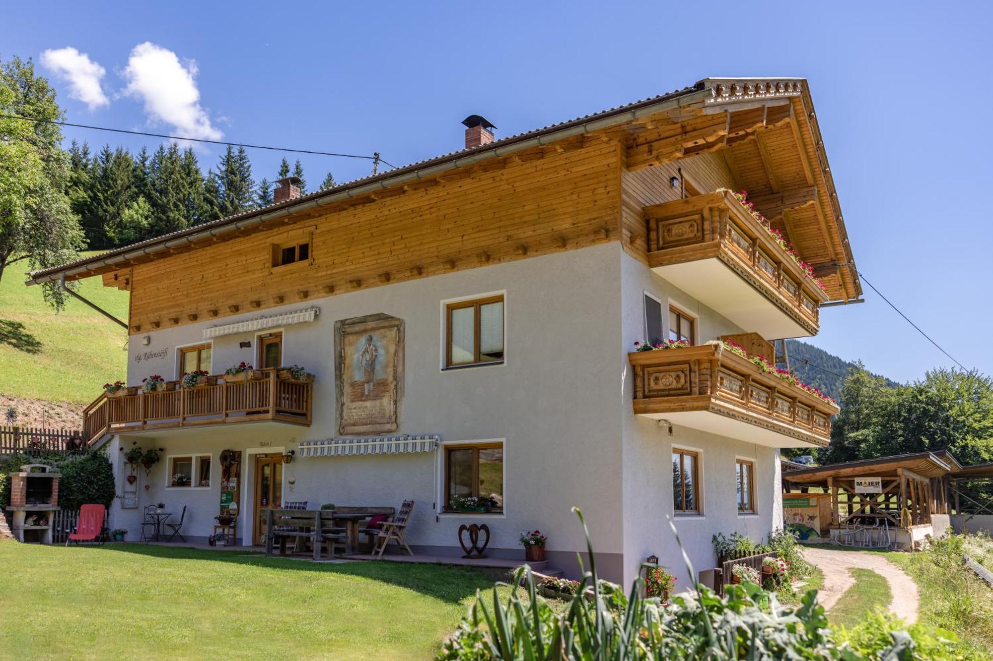 Apartmán Bio-Bergbauernhof Weger Dellach  Exteriér fotografie