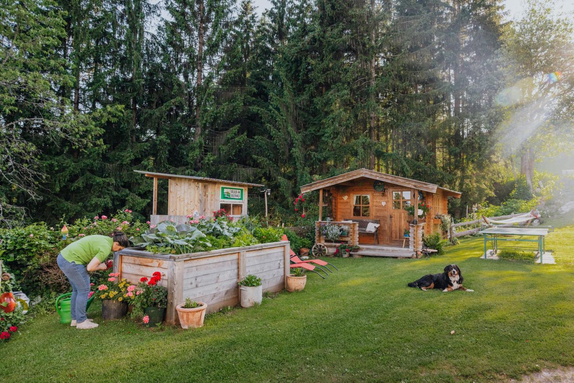 Apartmán Bio-Bergbauernhof Weger Dellach  Exteriér fotografie
